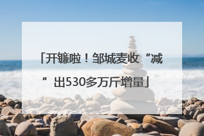 开镰啦！邹城麦收“减”出530多万斤增量