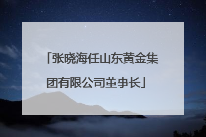 张晓海任山东黄金集团有限公司董事长