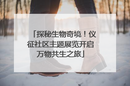 探秘生物奇境！仪征社区主题展览开启万物共生之旅