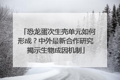 恐龙蛋次生壳单元如何形成？中外最新合作研究揭示生物成因机制