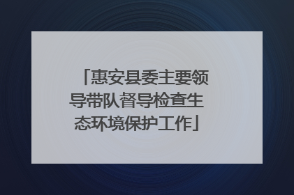 惠安县委主要领导带队督导检查生态环境保护工作