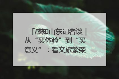 感知山东记者谈｜从“买体验”到“买意义”：看文旅繁荣背后的幸福新定义