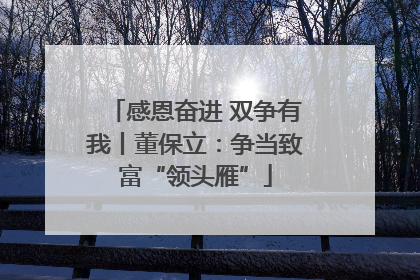 感恩奋进 双争有我丨董保立：争当致富“领头雁”