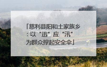 慈利县阳和土家族乡：以“迅”应“汛” 为群众撑起安全伞