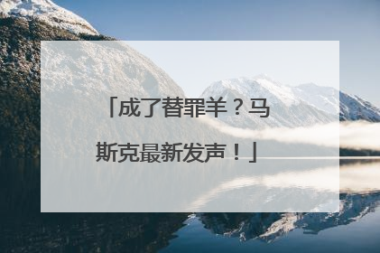 成了替罪羊？马斯克最新发声！