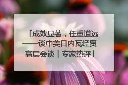 成效显著，任重道远——谈中美日内瓦经贸高层会谈｜专家热评