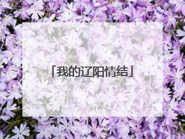 我的辽阳情结