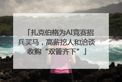扎克伯格为AI竞赛招兵买马，高薪挖人和洽谈收购“双管齐下”