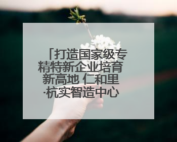 打造国家级专精特新企业培育新高地 仁和里·杭实智造中心盛大启幕！