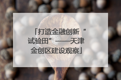 打造金融创新“试验田”——天津金创区建设观察