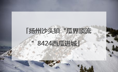 扬州沙头镇“瓜界顶流”8424西瓜进城