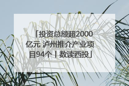 投资总额超2000亿元 泸州推介产业项目94个丨数读西投