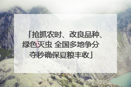抢抓农时、改良品种、绿色灭虫 全国多地争分夺秒确保夏粮丰收
