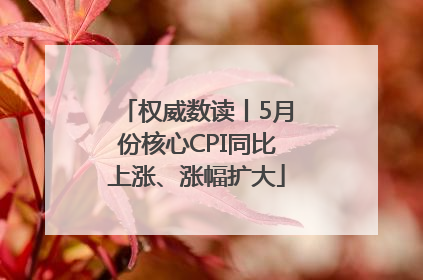 权威数读丨5月份核心CPI同比上涨、涨幅扩大