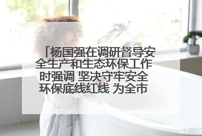 杨国强在调研督导安全生产和生态环保工作时强调 坚决守牢安全环保底线红线 为全市经济社会高质量发展提供坚强保障