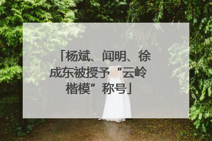 杨斌、闻明、徐成东被授予“云岭楷模”称号