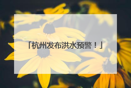杭州发布洪水预警！