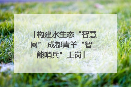 构建水生态“智慧网” 成都青羊“智能哨兵”上岗