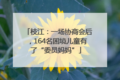 枝江：一场协商会后，164名困境儿童有了“委员妈妈”