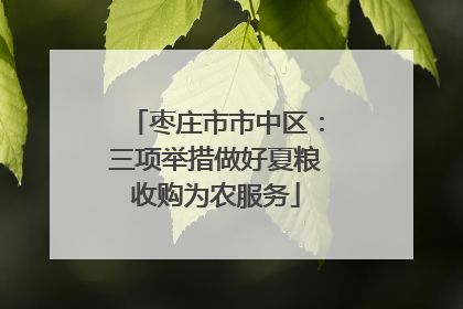枣庄市市中区：三项举措做好夏粮收购为农服务