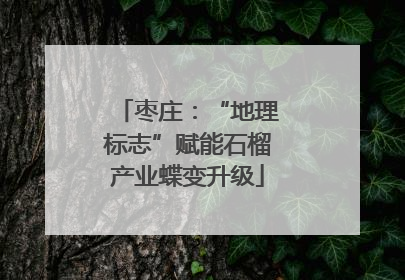枣庄：“地理标志”赋能石榴产业蝶变升级