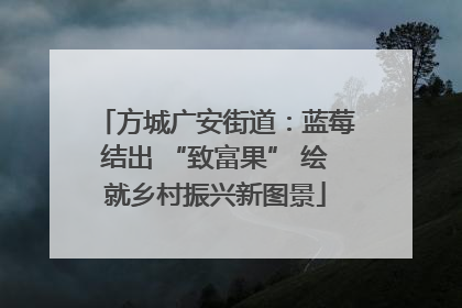 方城广安街道：蓝莓结出 “致富果” 绘就乡村振兴新图景