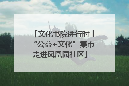 文化书院进行时丨“公益+文化”集市走进凤凰园社区
