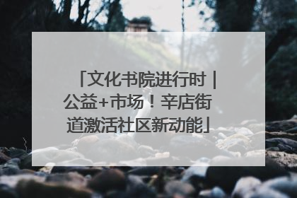 文化书院进行时｜公益+市场！辛店街道激活社区新动能