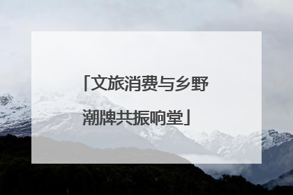 文旅消费与乡野潮牌共振响堂