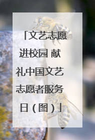 文艺志愿进校园 献礼中国文艺志愿者服务日（图）