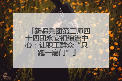 新疆兵团第三师四十四团永安镇综治中心：让职工群众“只跑一扇门”