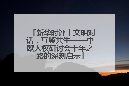 新华时评丨文明对话，互鉴共生——中欧人权研讨会十年之路的深刻启示