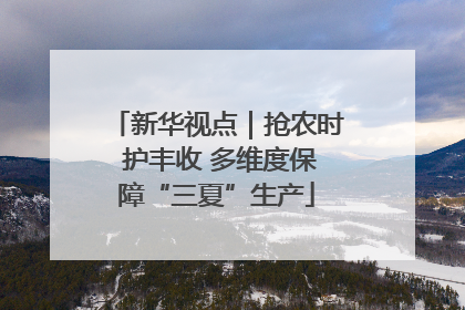 新华视点｜抢农时 护丰收 多维度保障“三夏”生产