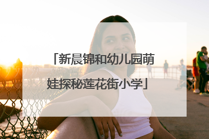 新晨锦和幼儿园萌娃探秘莲花街小学