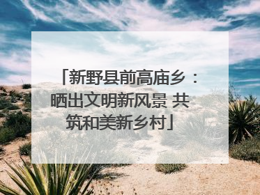 新野县前高庙乡：晒出文明新风景 共筑和美新乡村