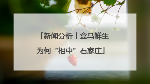 新闻分析丨盒马鲜生为何“相中”石家庄