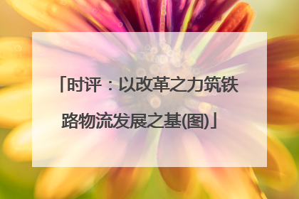 时评：以改革之力筑铁路物流发展之基(图)