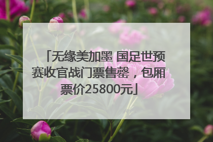 无缘美加墨 国足世预赛收官战门票售罄，包厢票价25800元