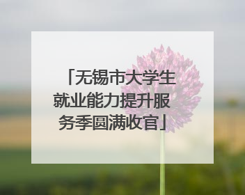 无锡市大学生就业能力提升服务季圆满收官