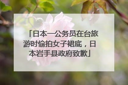 日本一公务员在台旅游时偷拍女子裙底，日本岩手县政府致歉