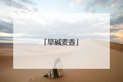 旱碱麦香