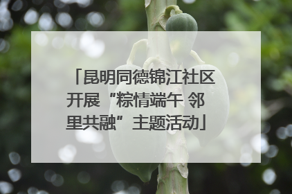 昆明同德锦江社区开展“粽情端午 邻里共融”主题活动