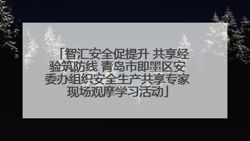 智汇安全促提升 共享经验筑防线 青岛市即墨区安委办组织安全生产共享专家现场观摩学习活动