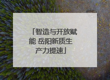 智造与开放赋能 岳阳新质生产力提速