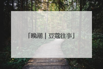 晚潮｜豆蔻往事