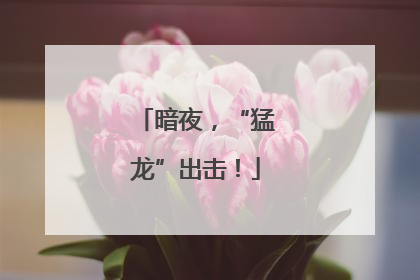 暗夜，“猛龙”出击！