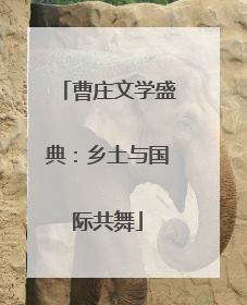曹庄文学盛典：乡土与国际共舞