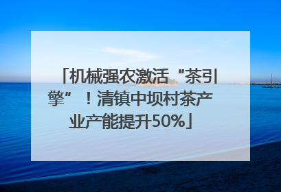 机械强农激活“茶引擎”！清镇中坝村茶产业产能提升50%