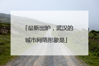 最新出炉，武汉的城市网络形象是