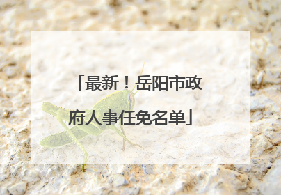 最新！岳阳市政府人事任免名单
